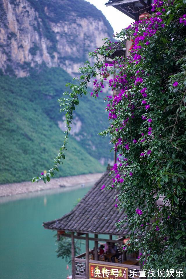 古镇|重庆自驾5小时抵达鲜花盛开的千年古镇，这才是重庆旅游必去景点