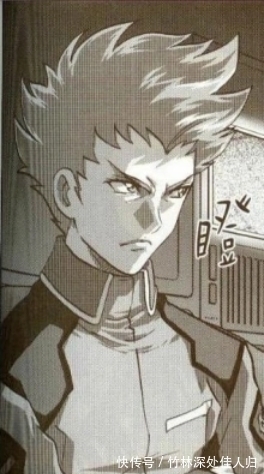 高达|高达seed登场机体介绍,高达篇(圣盾高达)