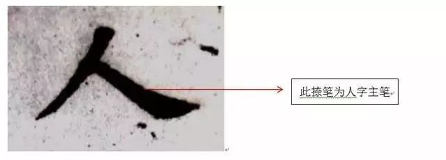 舒展|写字一定要找“主心骨”,但如何判断每个字的主笔呢