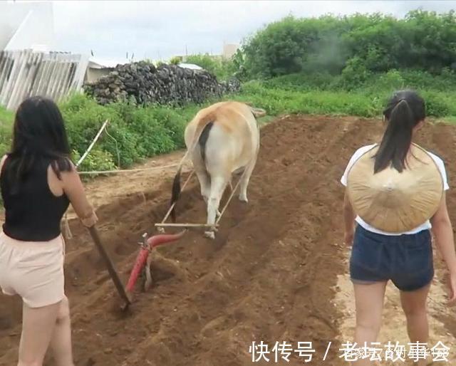 房子|这几种农民最好不要进城买房,否则会让你后悔莫及