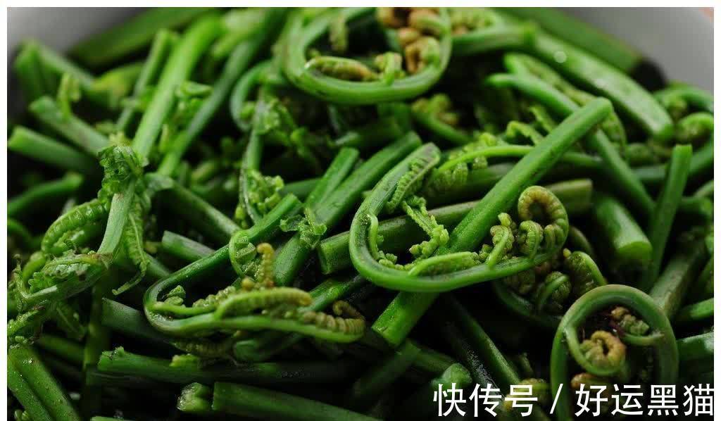 蕨菜素|因便秘而发愁?常吃此物可促进胃肠蠕动,下气通便,防止便秘