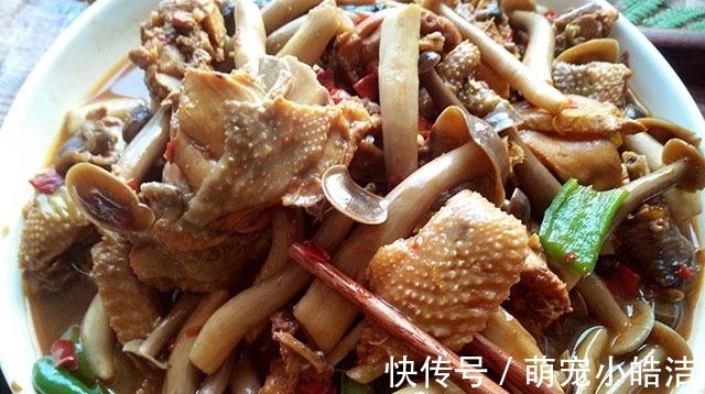 鸡肉|秋天,这肉要多吃,1斤猪肉能买它3斤,营养极高,炖着吃最香