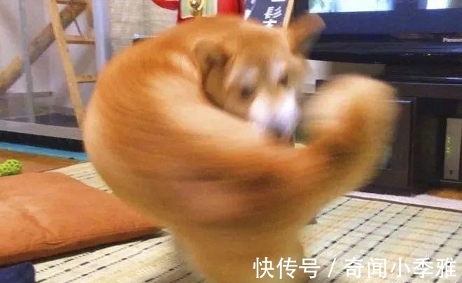 错觉!10个让人产生错觉的照片,被插画家涂抹几笔后,才能看懂