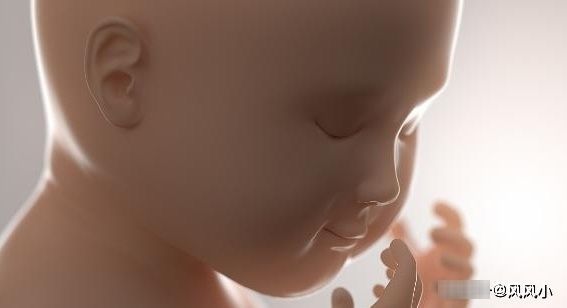 孕吐反应|孕早期,孕吐比较强烈正常吗?这几个小方法,或许可以帮到你!