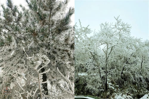 雪景|湖北超大的山地草场，318国道从景区穿过，冬天的雪景很漂亮