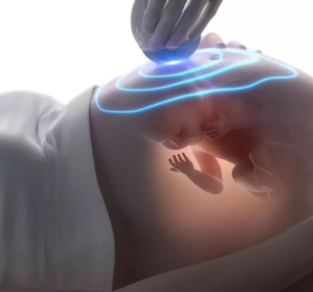 英子|怀孕的时候，为什么会感觉胎动的位置不同？如何了解胎儿情况