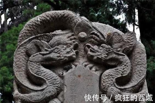 母亲$为什么龙的九个儿子,没有一条是龙?看看龙的妻子,你就知道了