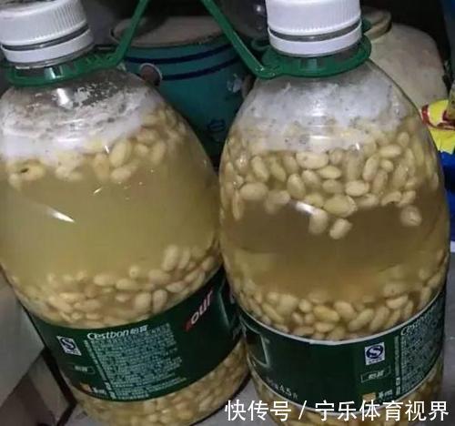 叶心里|养兰2年的君子兰从未开花？学会浇水方法，长势旺开花美！