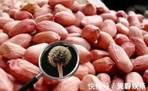 羟色胺|常吃花生米对人体有什么好处花生有什么营养成份
