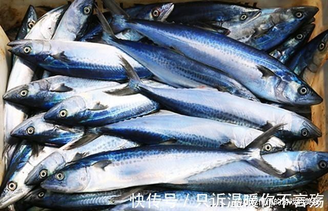 微量元素|这“6种鱼”适合给孩子吃,肉多刺少味道鲜,能健脑补钙又长个子