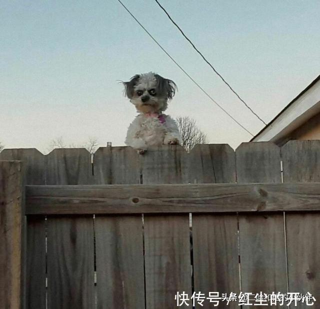 |网友分享的25个奇怪而搞笑的事情,你看过几件?