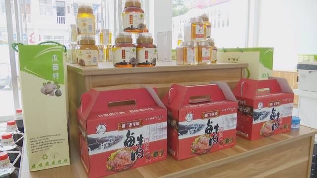 油茶籽|年销售额预计破百万!解锁含山这个村子的“财富密码”