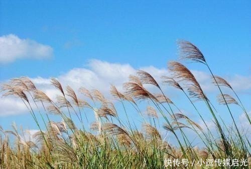 诗情画意@黄庭坚的一首诗,将清风和明月融合一起,带来了无限美感