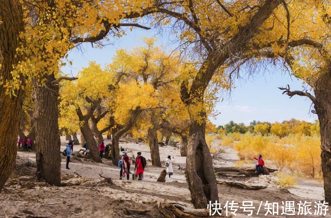 自驾|最值得一去的6处秋景，太美了！短暂的秋季美好，千万别错过