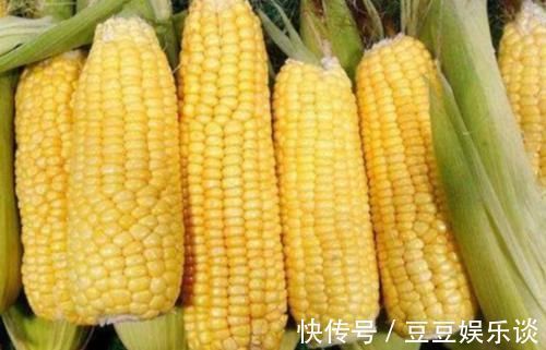 玉米你家里还买来吃吗?现在知道还不晚,赶紧告诉家里人,很重要