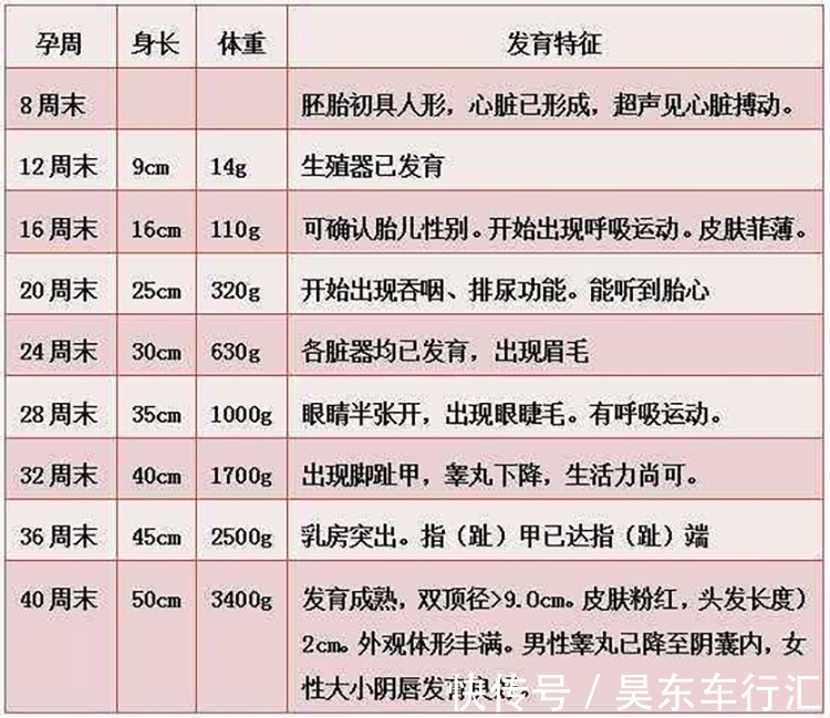 猛涨期|胎儿最后一个“猛涨期”,孕妇有三个表现,抓住对娃有好处