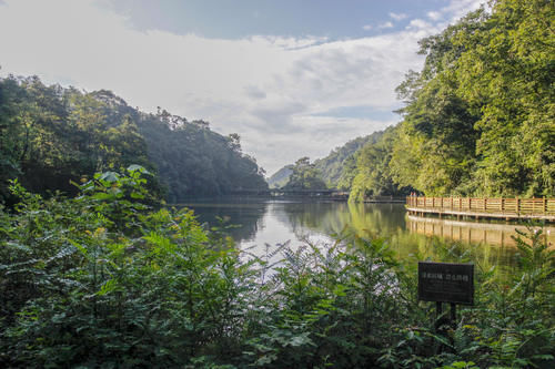 后山|四川知名的5A景区，主景区90元门票被忽略，都往只需20元的后山跑