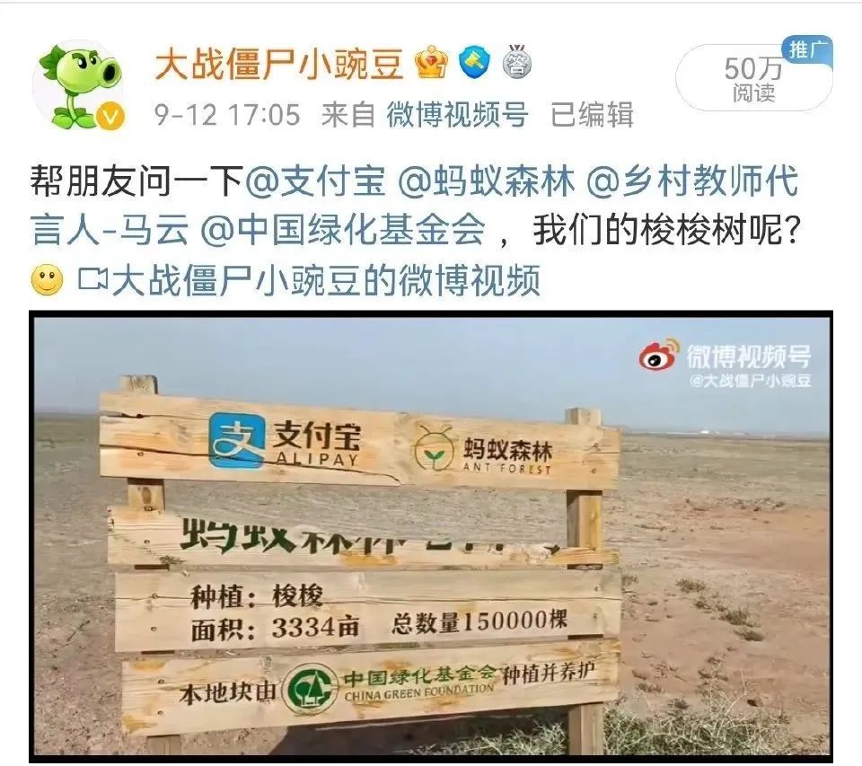 森林|种植区疑现荒地？蚂蚁森林回应