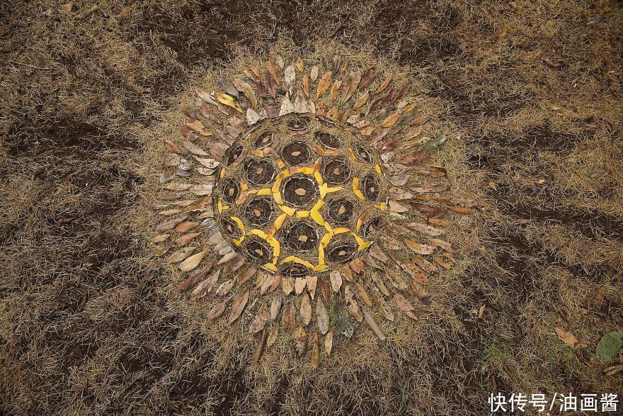 詹姆斯|艺术家用石头和树叶“作画”,网友直呼:太解压,治愈强迫症
