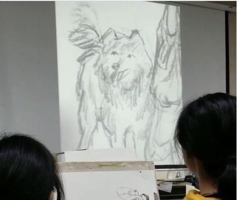 哈士奇!美术生画哈士奇,最后一个画出灵魂,全班同学发出猪一般的笑声!