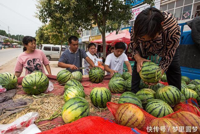 生活环境|韩国游客在中国买西瓜“遭拒”，老板：对不起，这真没办法卖给你