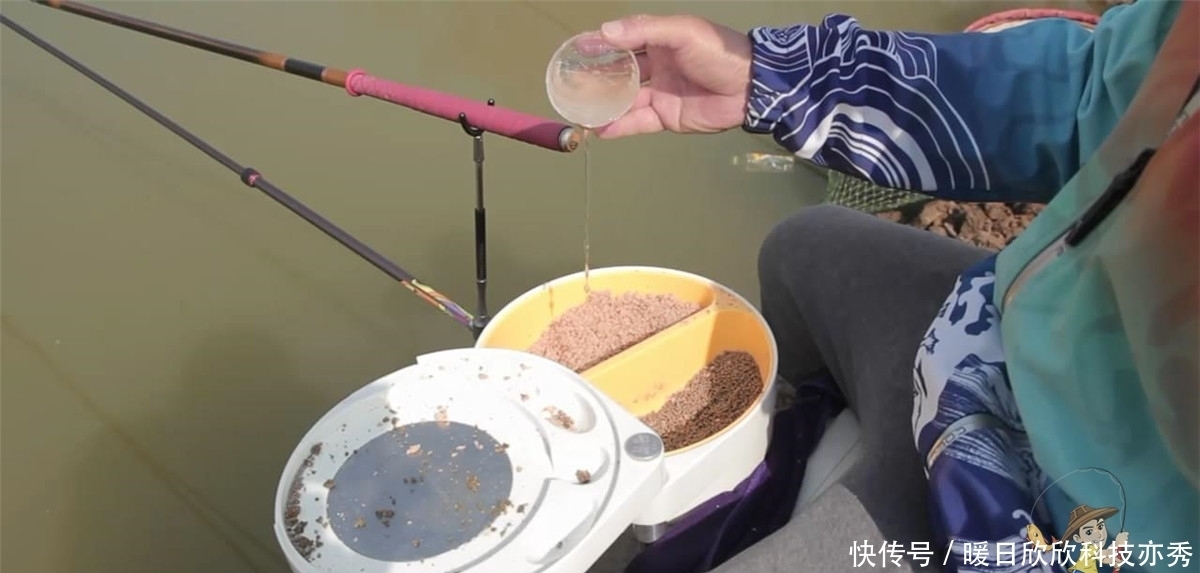 鱼儿|野钓窝料不能随便打,不同鱼情有对应套路,逼它优先吃钩