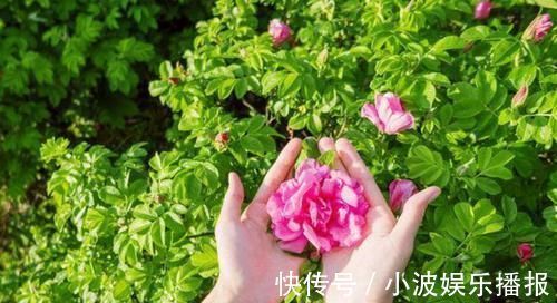 黄曲霉毒素|肝功能好的人,晨起后一般有4个表现,占2个以上,恭喜肝还不错