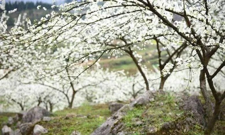 山峰|山态林姿，举手投足间，风情万种，这座山峰诉说着不灭的神话故事