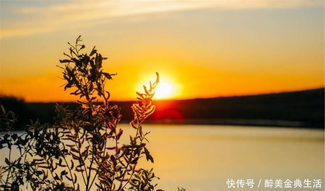 内心|内心强大的人,看什么都顺心和顺眼,希望你是