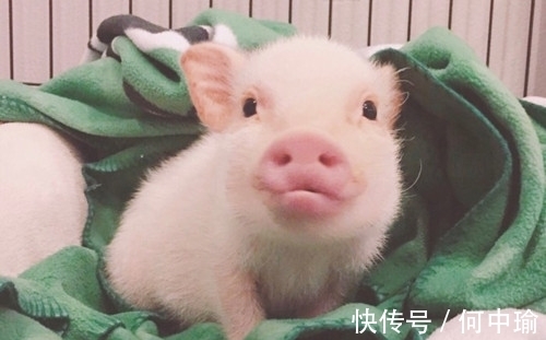 财运|7月22号起,生意兴隆,财运滚滚,喜事成双的3属相,有你吗?