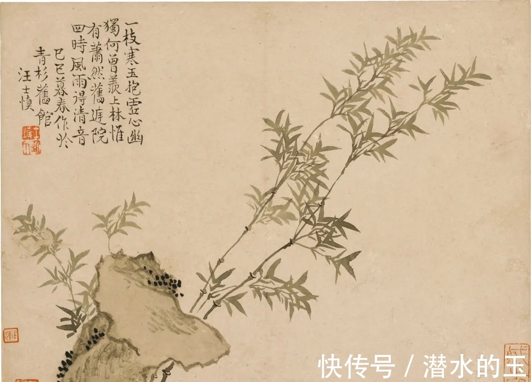 花卉图$汪士慎:一生心事为花忙丨私享艺术