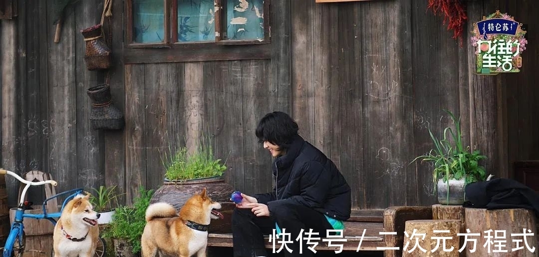 中餐厅|慢综艺的五年之痒