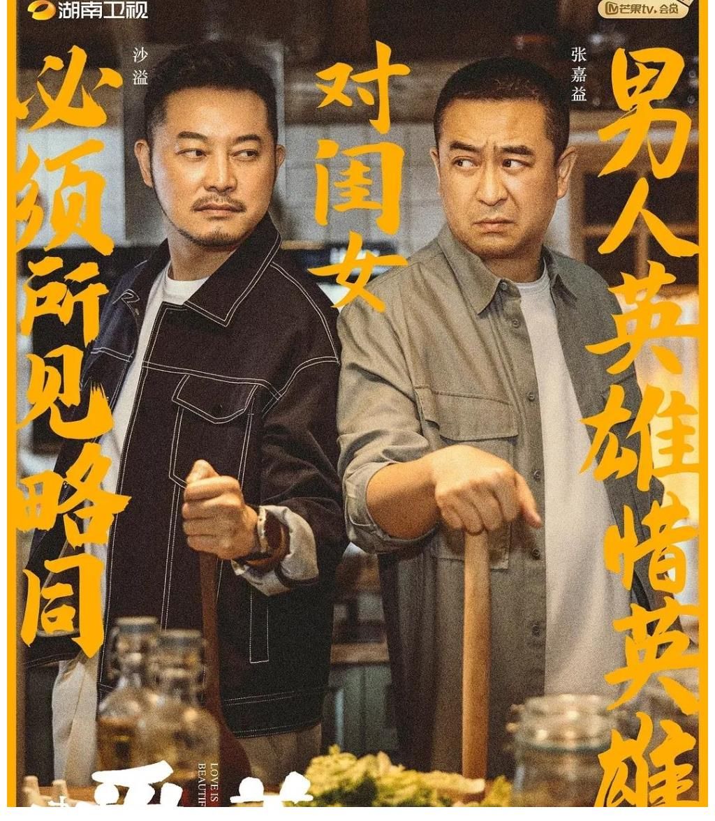 沙溢|刘敏涛“翻车”了?张嘉译联手沙溢,新剧收视夺冠,女主却被骂惨