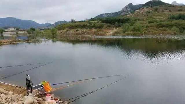 在陌生水域作钓,把这几个细节先做好,根本不愁钓不上鱼!