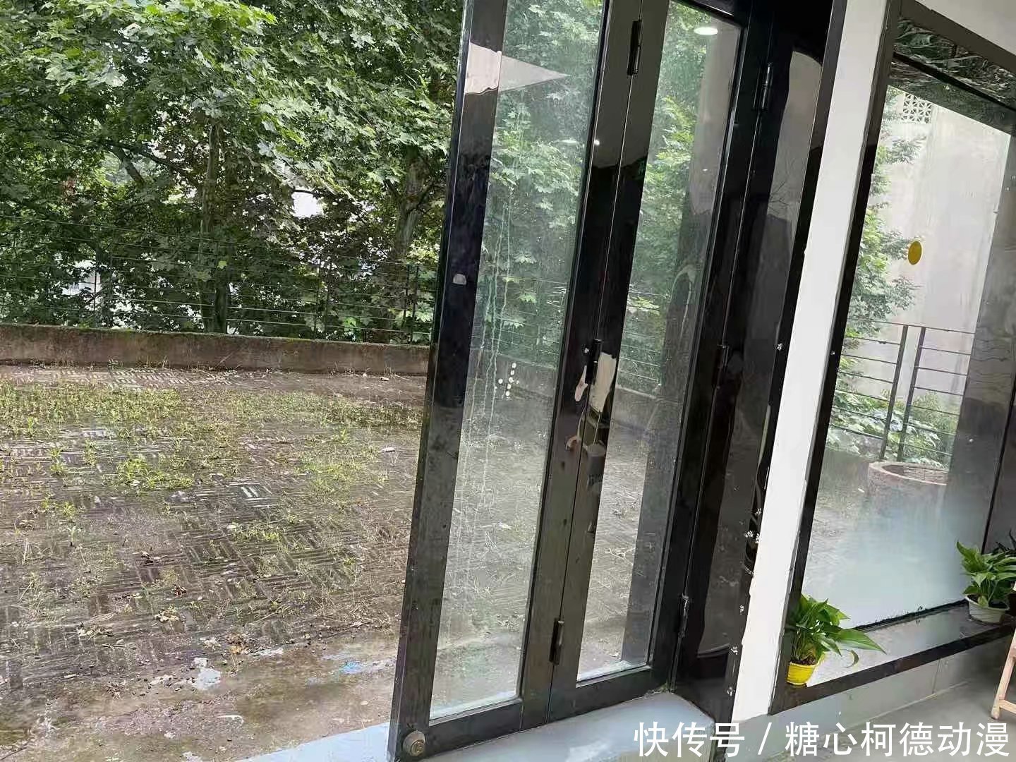 糖心柯德|糖心柯德动漫杭州线下自习画室 and 考研自习室试用启动!