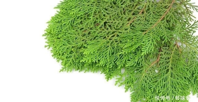 脱发的问题|白发多别着急拔,洗头时加上“它”,白发悄悄黑回来,还能防脱发