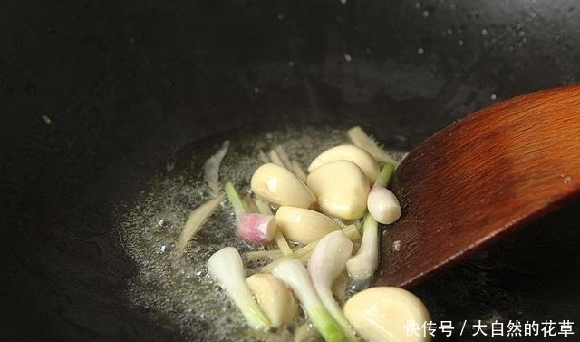 今日入伏,记得多吃这肉,比牛羊肉强,解馋不上火,焖一锅特馋人!