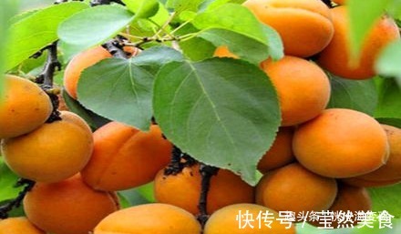 香蕉|女性养生，坚持常吃的食物，补水润肤，排出毒素，缓解女性痛经