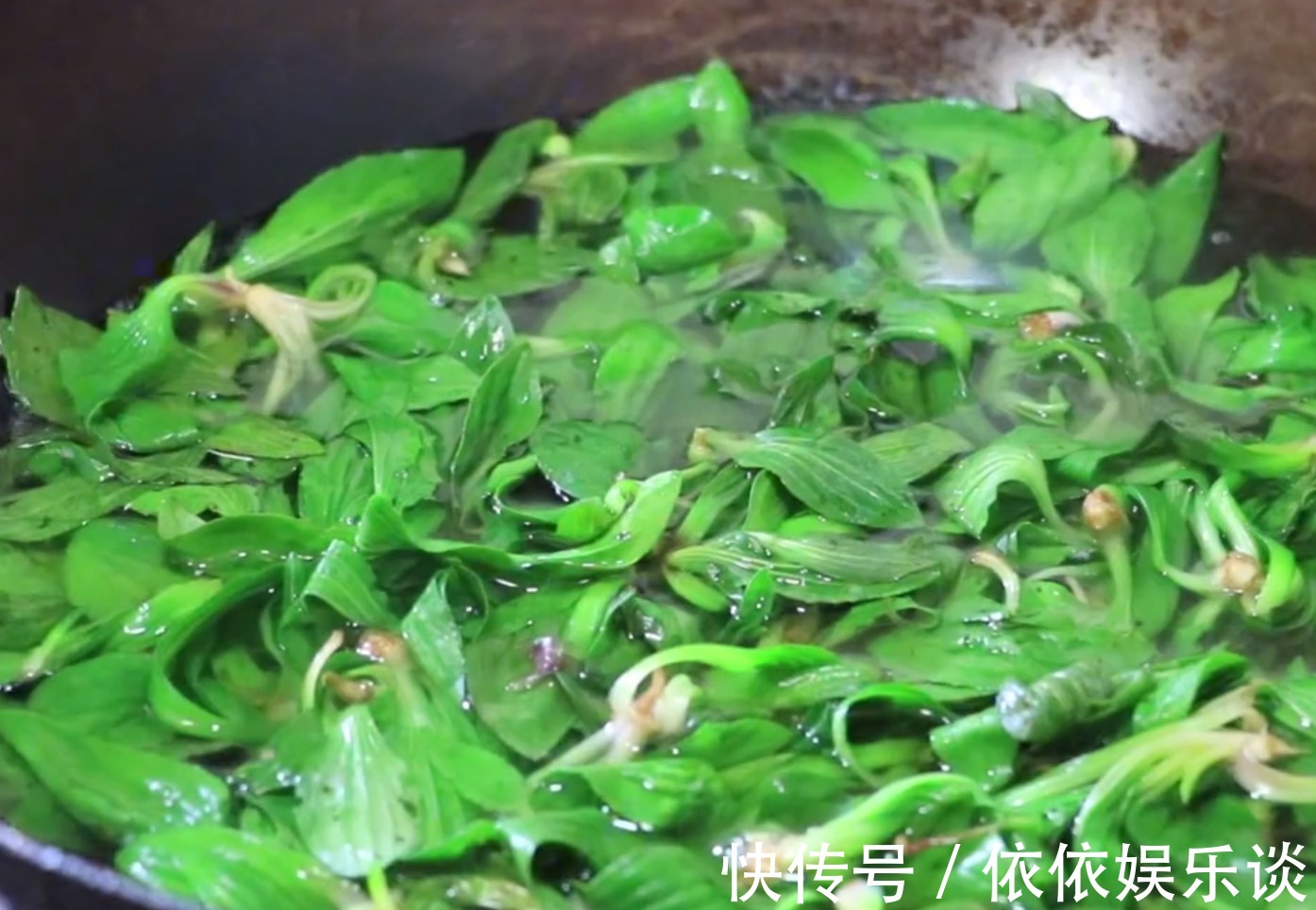 清肝明目|肝脏不好，这种野菜经常吃，清肝明目又祛火，缓解疲劳越吃越健康