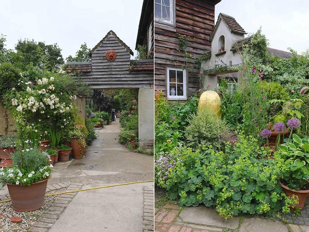  看完这个，想把家里花盆丢了