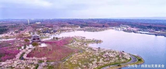 奉贤区|在奉贤区，距离市中心60公里的上海一景区，门票60元，风景很不错！