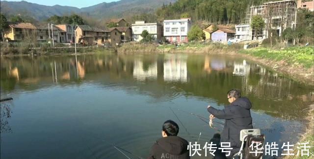 钓友|不怕杂鱼闹，就怕它不到！没有小杂鱼闹窝的野钓更要找原因