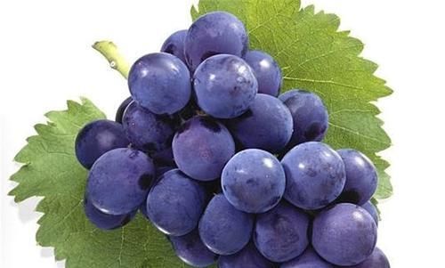 春天不想肌肤老，多吃的食物，能促进血液循环，提高智力，更年轻