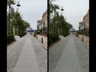 影像|国产影像旗舰对比:输了讲“武德” 赢了讲实力