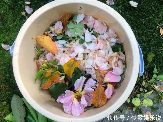 土里拌点它,轻松变成酸性土,养花不黄叶!