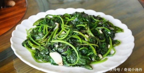 好吃|自己在家炒红薯叶为什么不好吃还发黑?只需多加一样,翠绿不发黑
