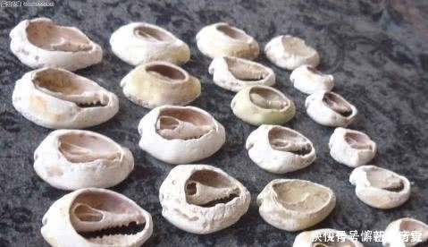 专家:快看看你的月薪在古代是几两银子!