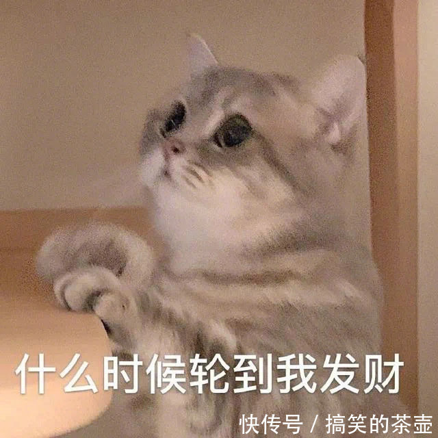 |十条笑话:媳妇把家翻个底朝天,终于在地板下翻到一张银行卡