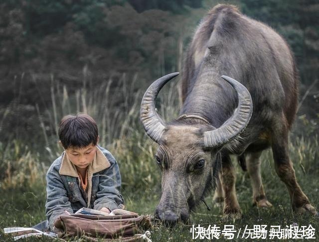 对子$郭沫若妙答对联,上联 “昨日偷桃钻狗洞,不知是谁”下联让人佩