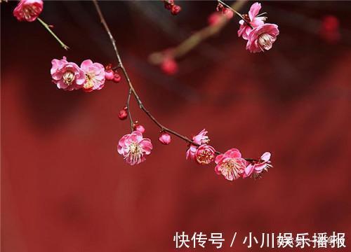 改正|为何农历的一月叫“正月”,而十二月,则叫做“腊月”